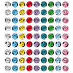 *PRE-ORDER *Pokémon Chinese Terastal Gathering CSV9.5C Coin Set