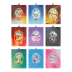 *PRE-ORDER* Pokémon Chinese Terastal Gathering CSV9.5C Card Display Charm Gift Boxes